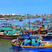 Quy Phan Photo 32