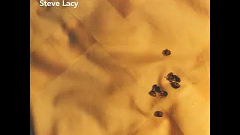 Lacy Bailey Photo 31