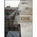 Chris Friedrichs Photo 24