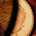 Dagmar Wood Photo 16