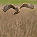 Stuart Jacobson Photo 36