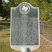Travis Gustafson Photo 27