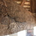 Mark Beam Photo 37