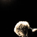 Paul Matter Photo 17