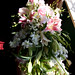 Debbie Franks Photo 37