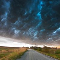 John Giere Photo 3