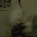 Arthur Heard Photo 15