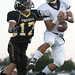 Lee Beckman Photo 30