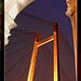 Chandra Burns Photo 29