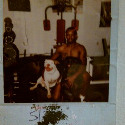 Sean Whitlock Photo 9