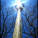 Thomas Litwin Photo 23