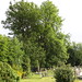 Thomas Edmunds Photo 26