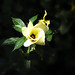 Marcos Duarte Photo 36