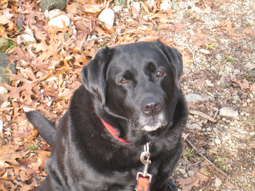 Jennifer Hazen Photo 9