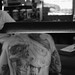 Ian Brenner Photo 18