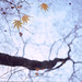 R I Photo 25