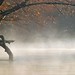 Misty Garner Photo 41