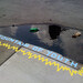 Nicholas Troutman Photo 16