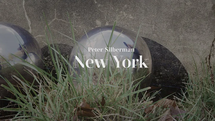 Bruce Silberman Photo 5