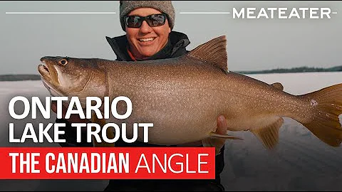 Stephen Trout Photo 24