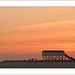 Peter Ording Photo 14