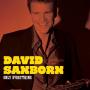 David Sanborn Photo 25