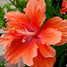 Tammy Withers Photo 28