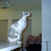 Rex Kelley Photo 26
