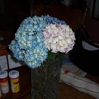 Betty Powers Photo 5