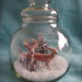 Martha Deer Photo 16