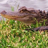 Bruce Millar Photo 4