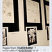 Michael Lariccia Photo 16