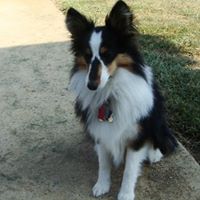 Cheryl Ottinger Photo 3