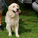 Diane Panetta Photo 13