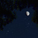 William Arrants Photo 21