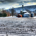 Carl Coats Photo 25