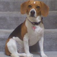 Roxie Martin Photo 2