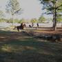 Susan Morris Photo 35