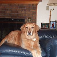 Cathy Goodrich Photo 3
