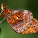 Bruce Culpepper Photo 19