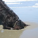 Randy Boykin Photo 22