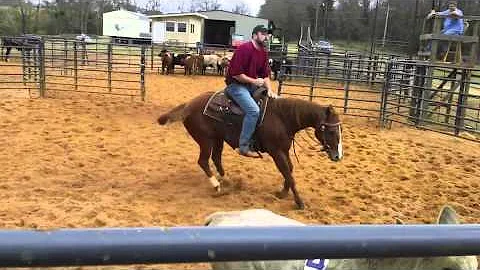 Kitty Buckner Photo 9