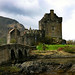 Eileen Castle Photo 20
