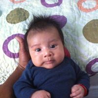 Rudy Tellez Photo 7