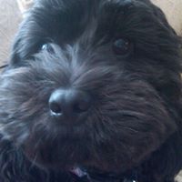 Riley Johnson Photo 2