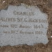 Charles Alfred Photo 31