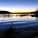 Dawn Michel Photo 32