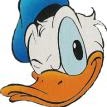 Michael Storz Photo 10