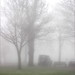 Misty Green Photo 43