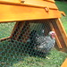 John Skemp Photo 12